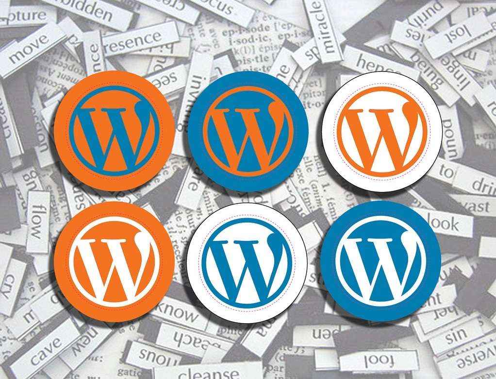 Elegir wordpress