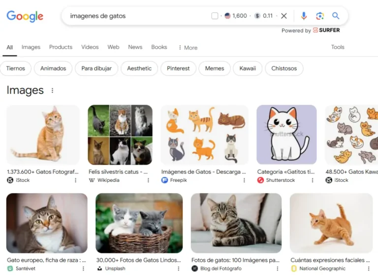 Cómo aparecer en Google en primera página