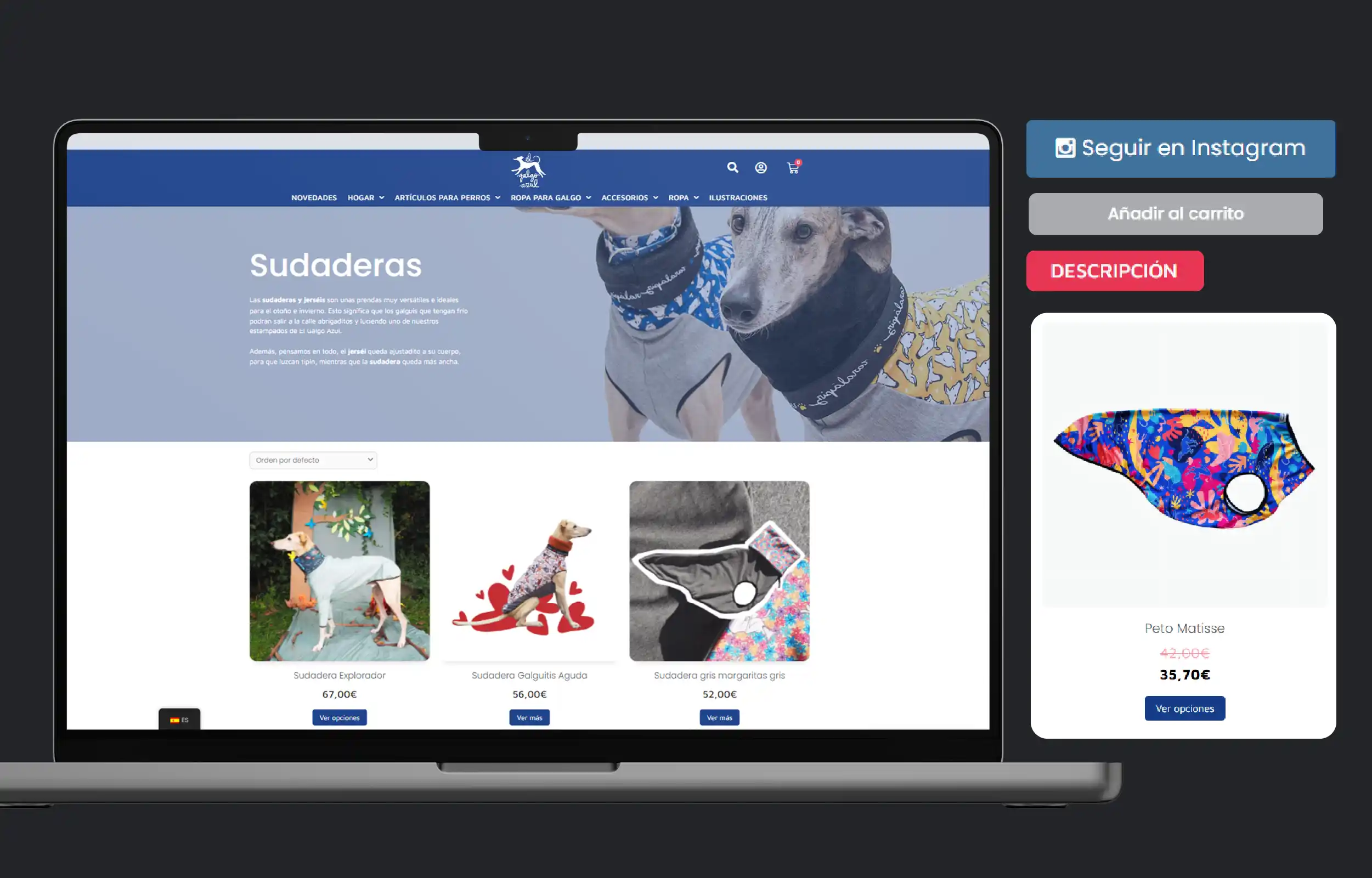 El Galgo Azul | Accesorios para Galgos