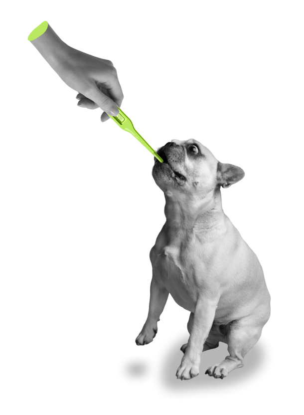 Marketing Digital para Veterinarios